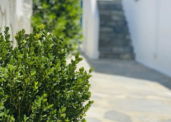 Cyclades Blue Apart-hotel Ornos (Mykonos)