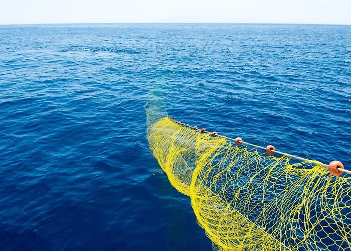 Cyclades Blue Appart hôtel Ornos (Mykonos)